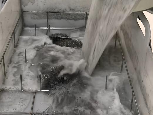 清水淹沒(méi)紫銅板材銅排